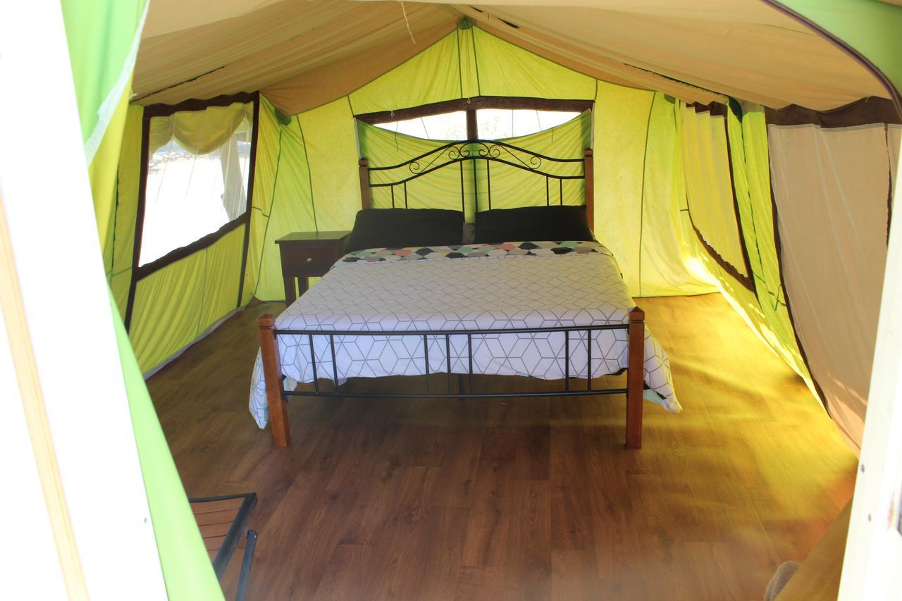 Wonky Stables Holiday Park Forrest Bagian luar foto