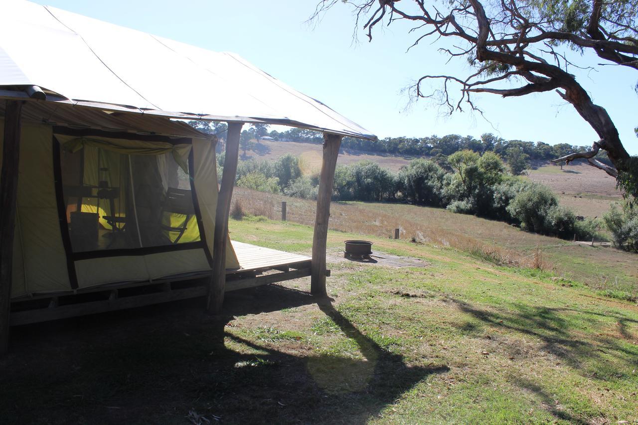 Wonky Stables Holiday Park Forrest Bagian luar foto